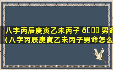 八字丙辰庚寅乙未丙子 🐒 男命（八字丙辰庚寅乙未丙子男命怎么样）